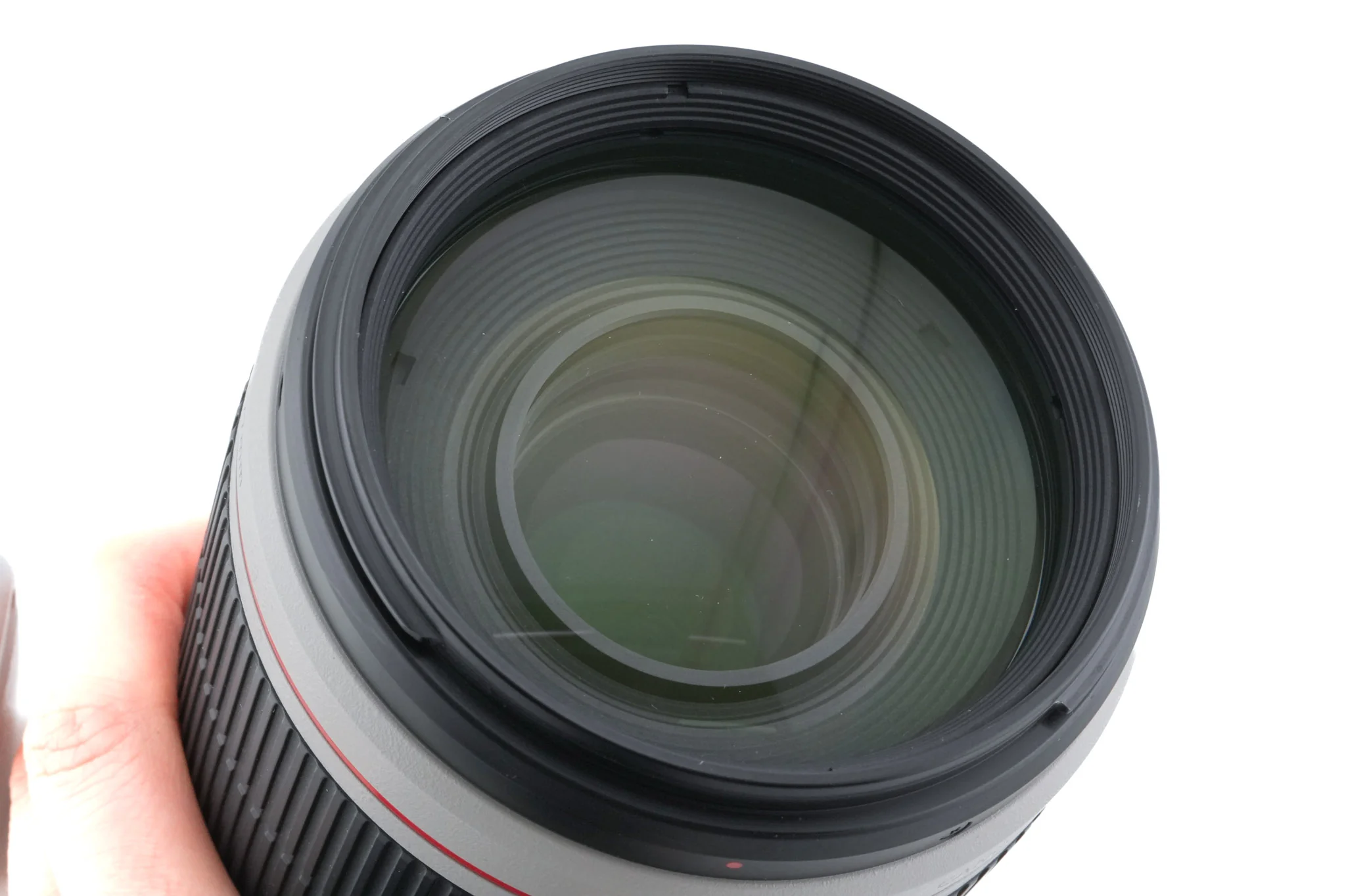 Canon 100-400mm f4.5-5.6 L IS II USM - Image 5