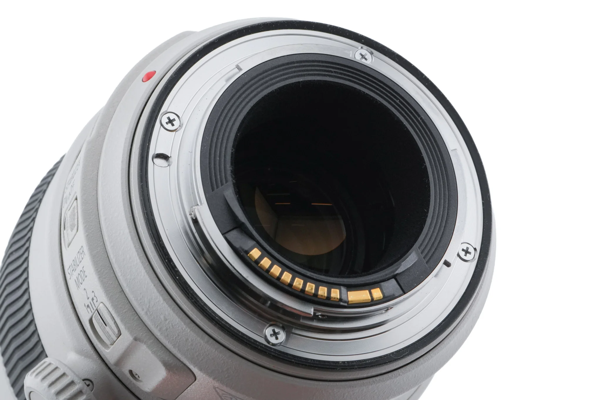 Canon 100-400mm f4.5-5.6 L IS II USM - Image 6