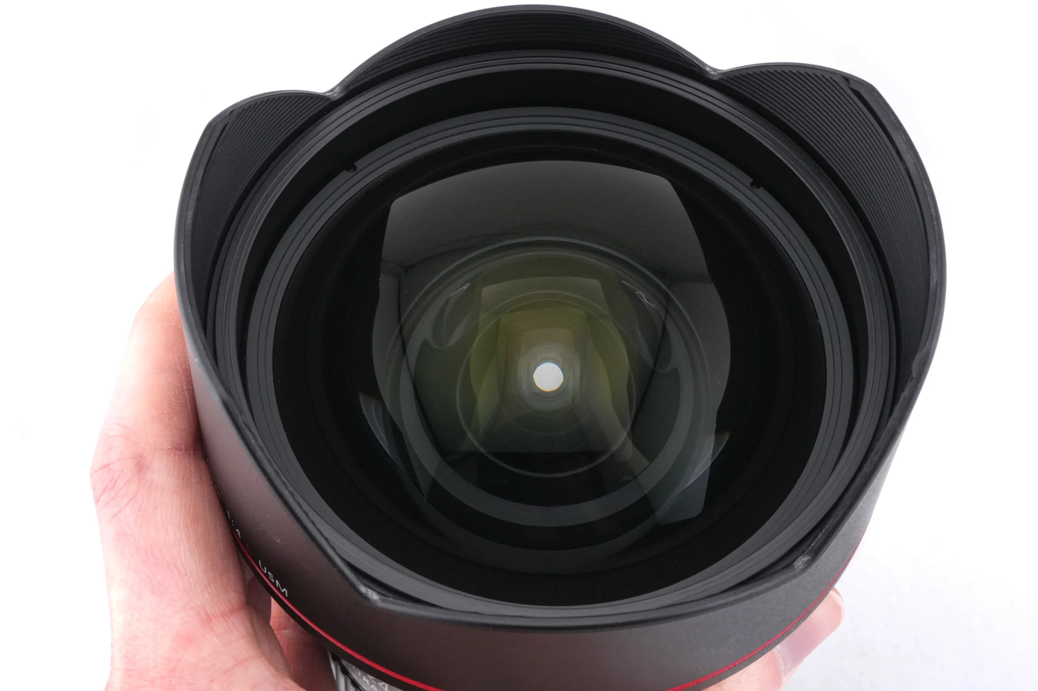 Canon 11-24mm f4 L USM - Image 5