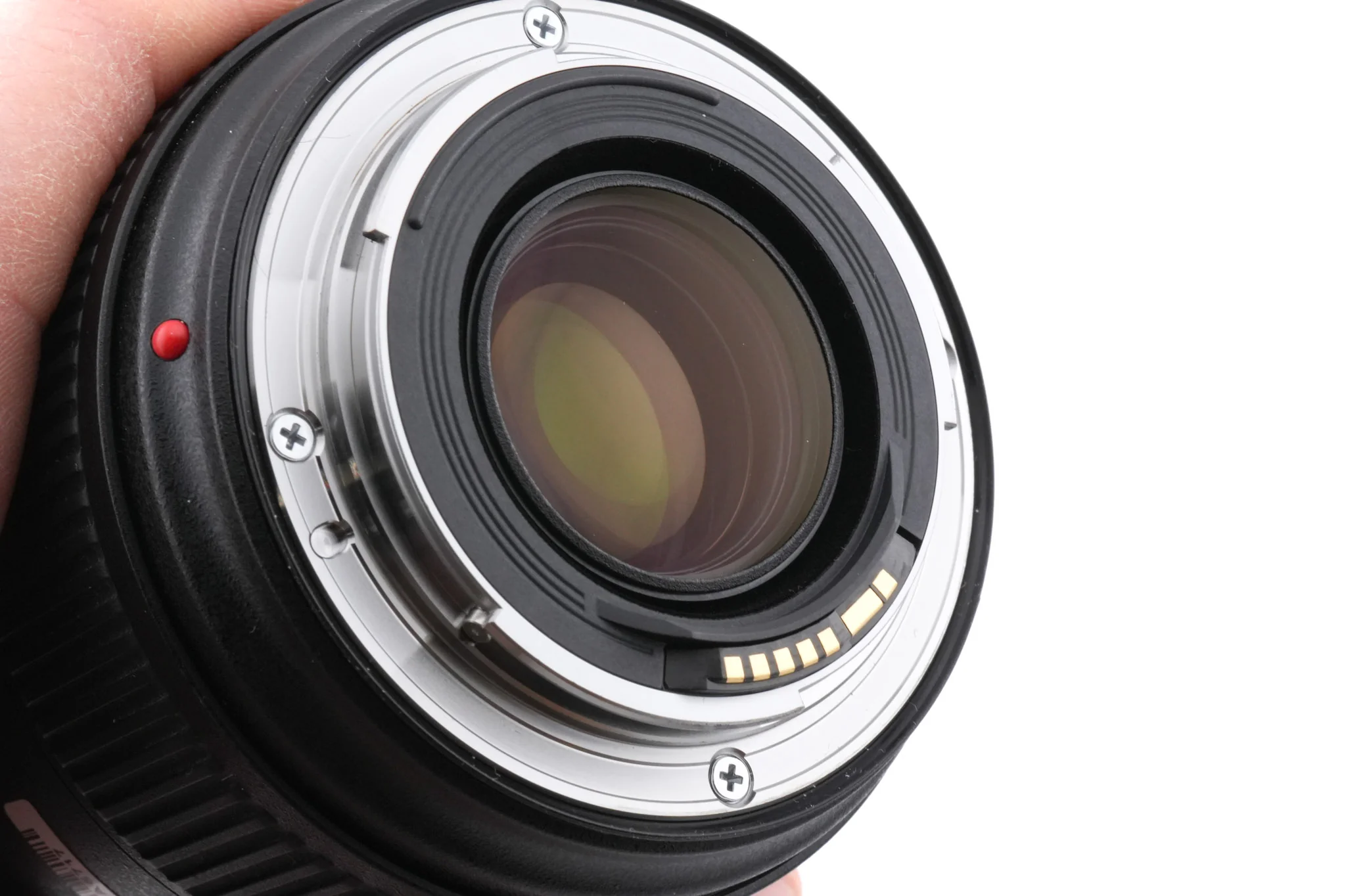 Canon 24-70mm f2.8 L II USM - Image 6