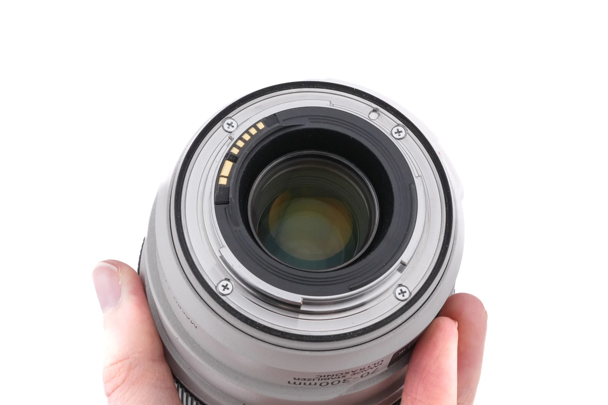 Canon 70-300mm f4-5.6 L IS USM - Image 6