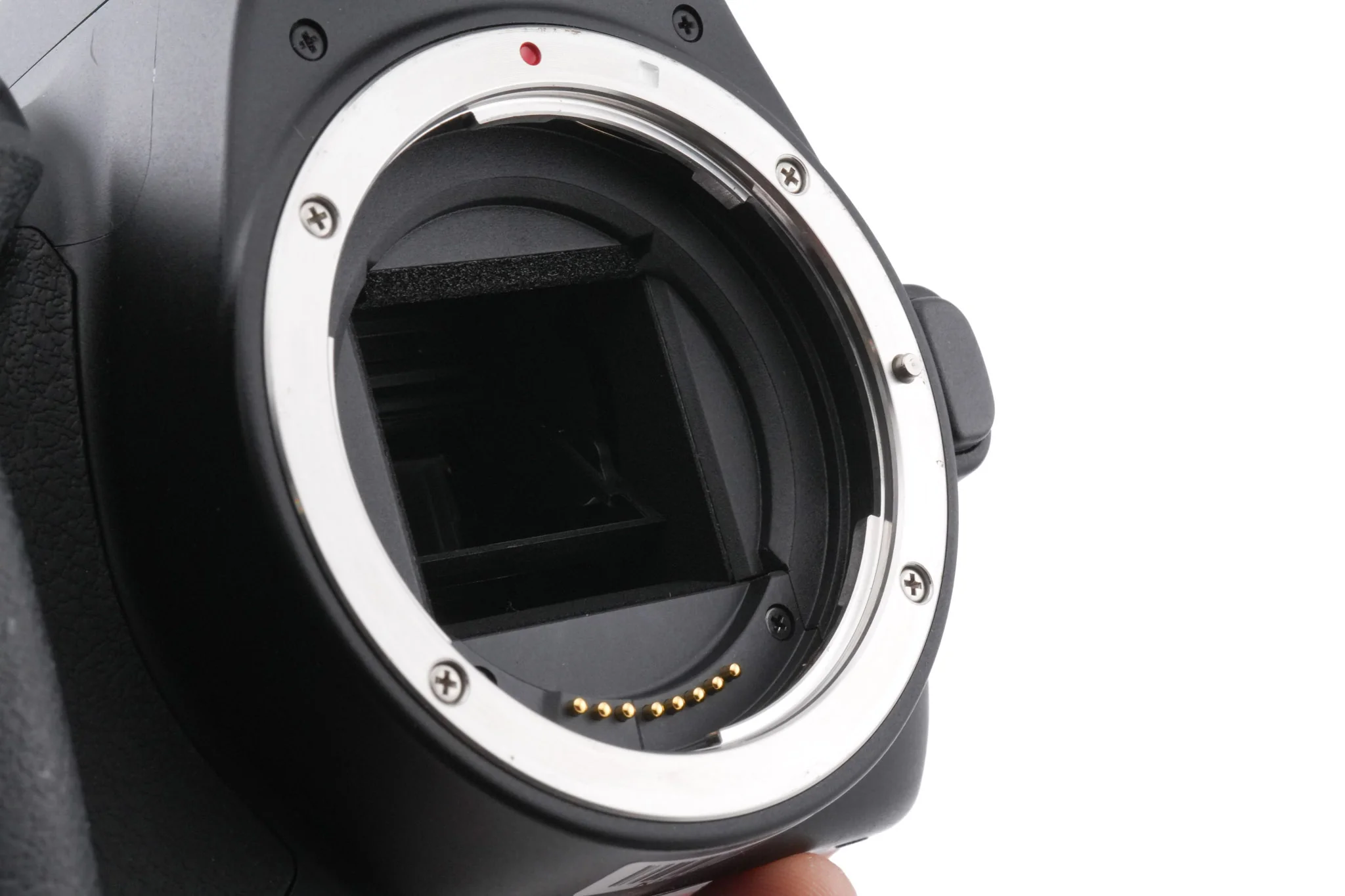 Canon EOS 250D - Image 5