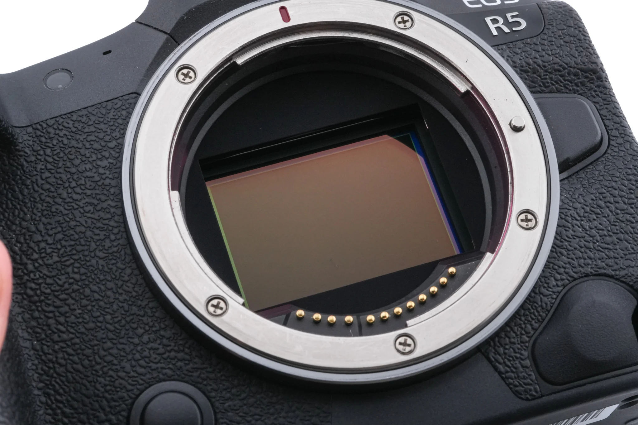 Canon EOS R5 - Image 7