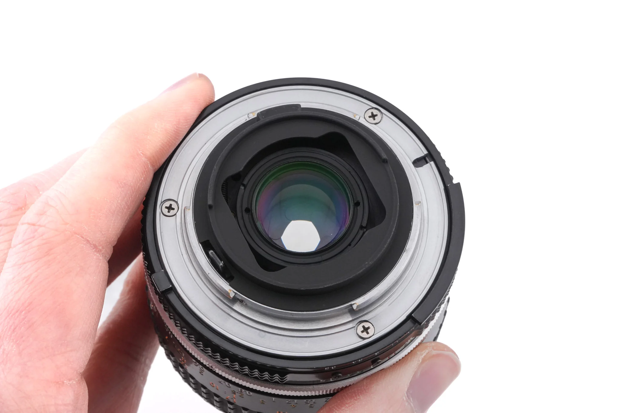 Nikon 55mm f3.5 Micro-Nikkor AI - Image 4
