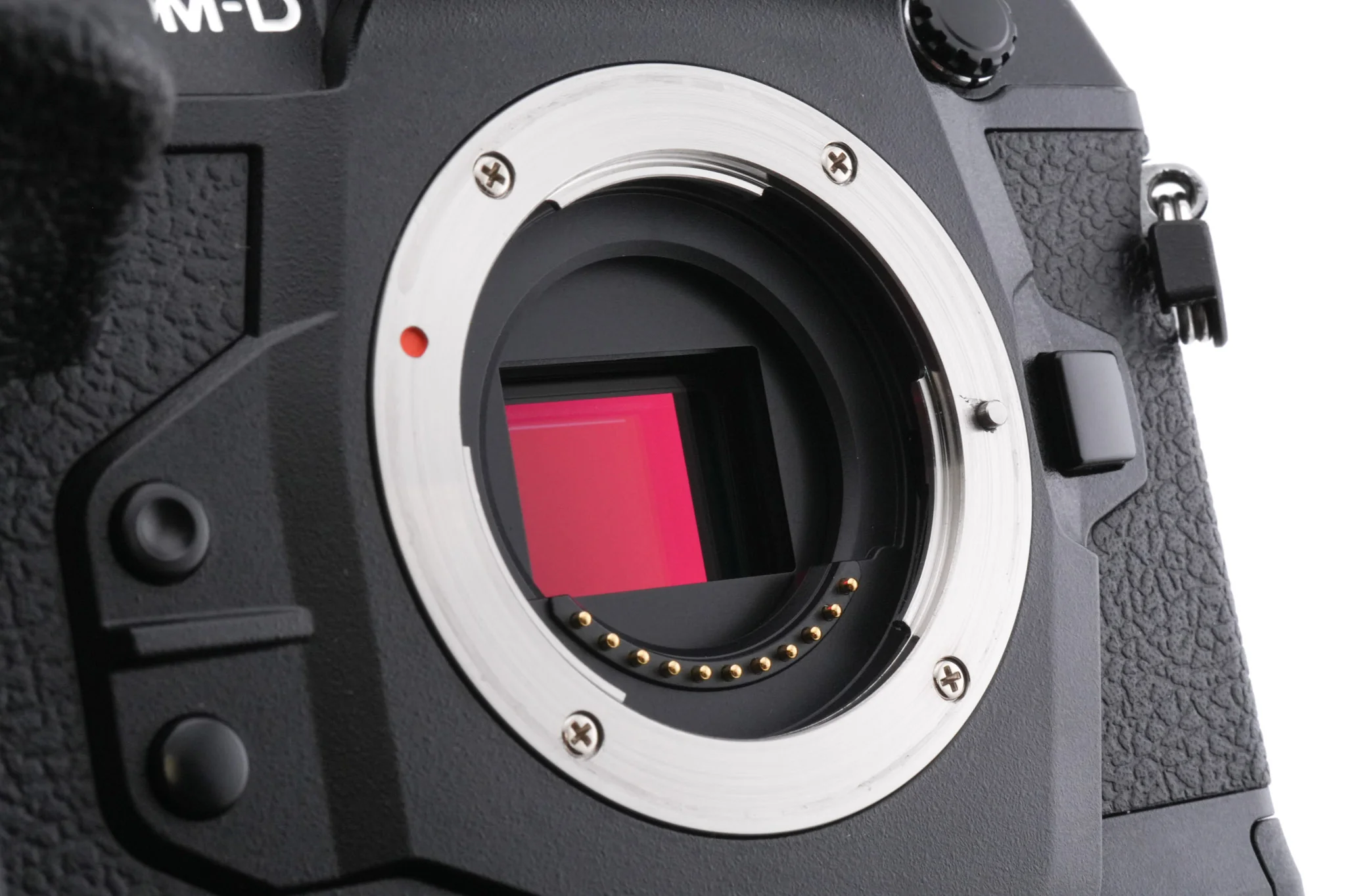 Olympus OM-D E-M1X - Image 5