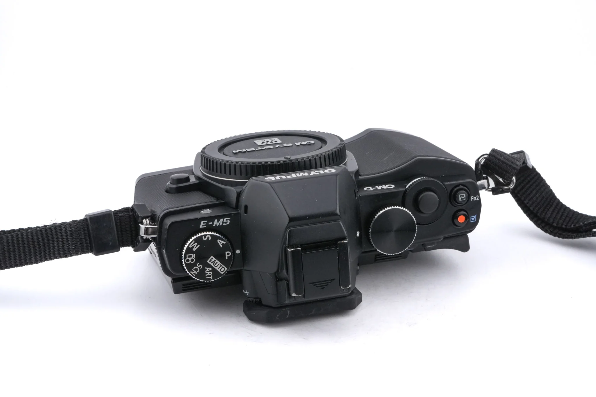 Olympus OM-D E-M5 + FL-LM2 Flash - Image 4